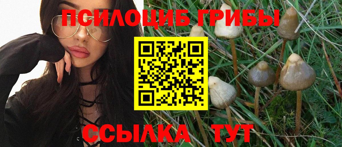 Нефтекамск  Псилоцибиновые грибы Magic Shrooms  Вход с VPN 