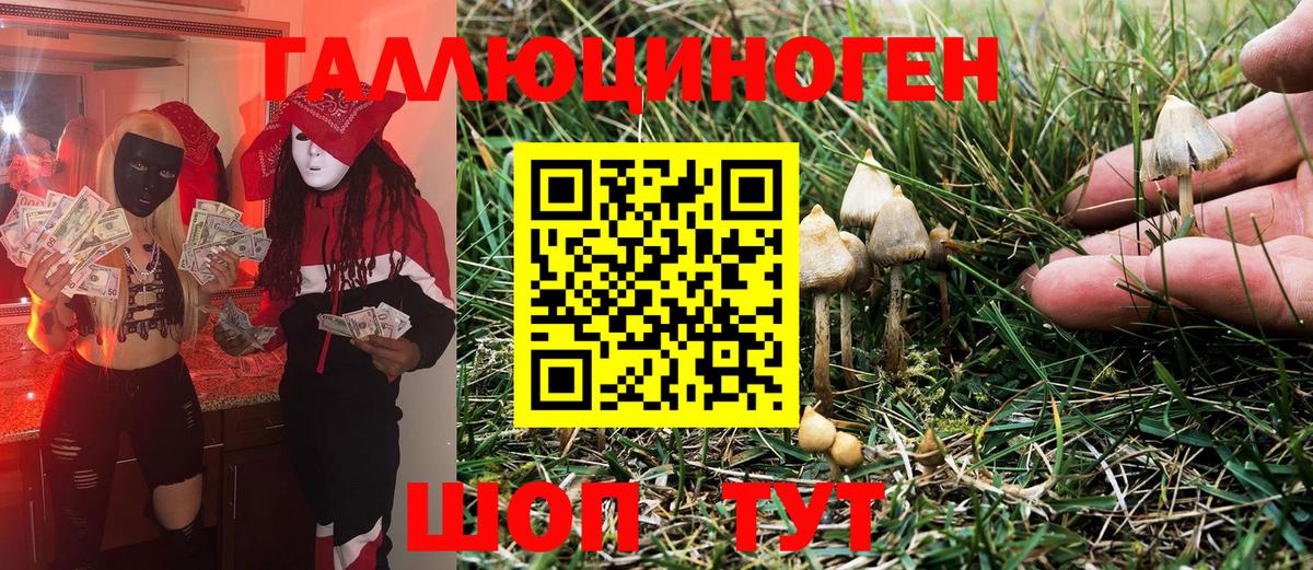 Псилоцибиновые грибы Psilocybine cubensis Нефтекамск
